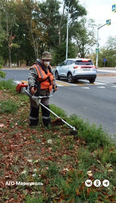 В Мариуполе коммунальщики продолжают борьбу с карантинными травами