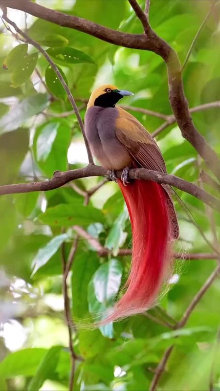 С добрым утром, Мариуполь!