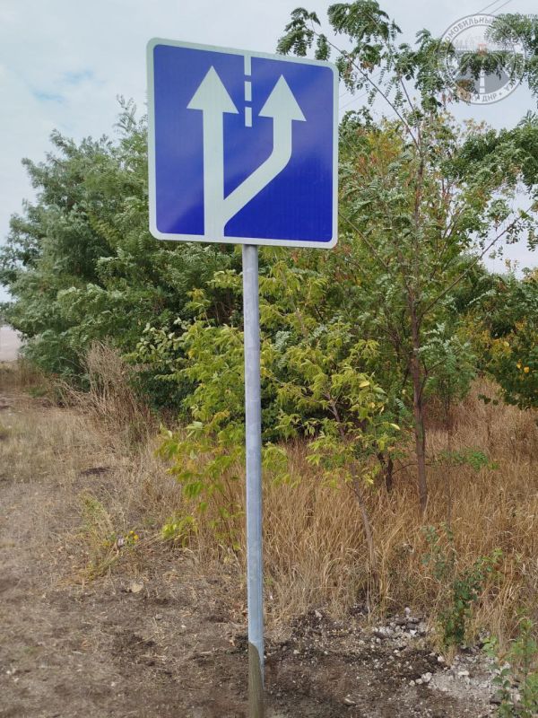 #свод_за_сутки #летнее_содержание #свод_за_сутки #летнее_содержание