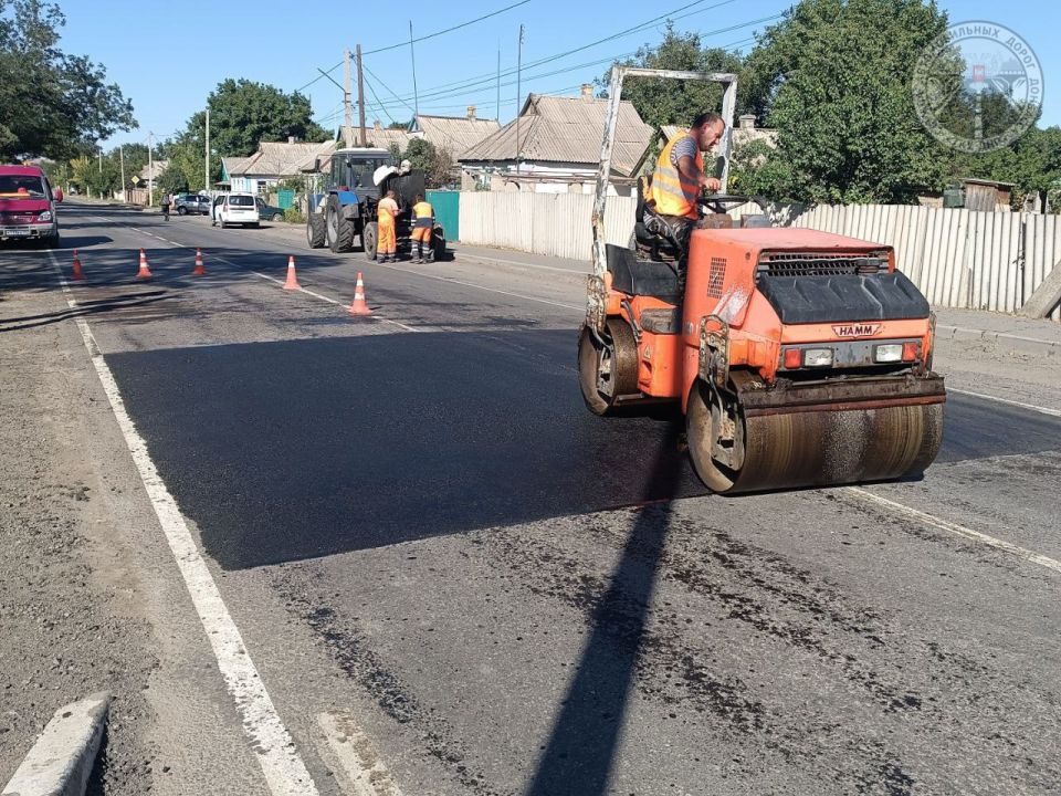 #свод_за_сутки #летнее_содержание #свод_за_сутки #летнее_содержание