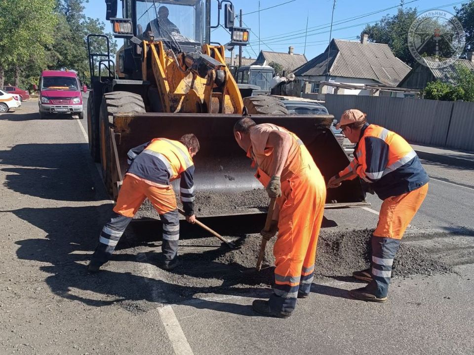 #свод_за_сутки #летнее_содержание #свод_за_сутки #летнее_содержание