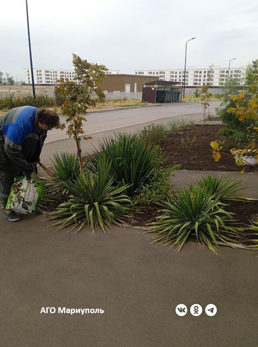 «Мариупольжилкомплекс» продолжает благоустройство придомовых территорий «Мариупольжилкомплекс» продолжает благоустройство придомовых территорий