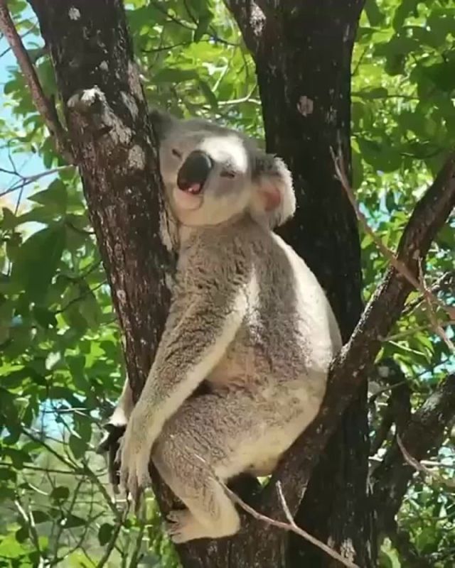 Спокойной ночи, Мариуполь!