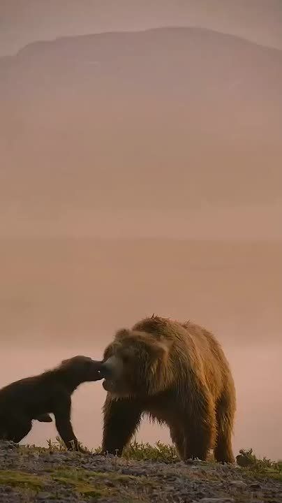 Спокойной ночи, Мариуполь!