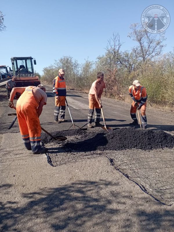 #свод_за_сутки #летнее_содержание #свод_за_сутки #летнее_содержание