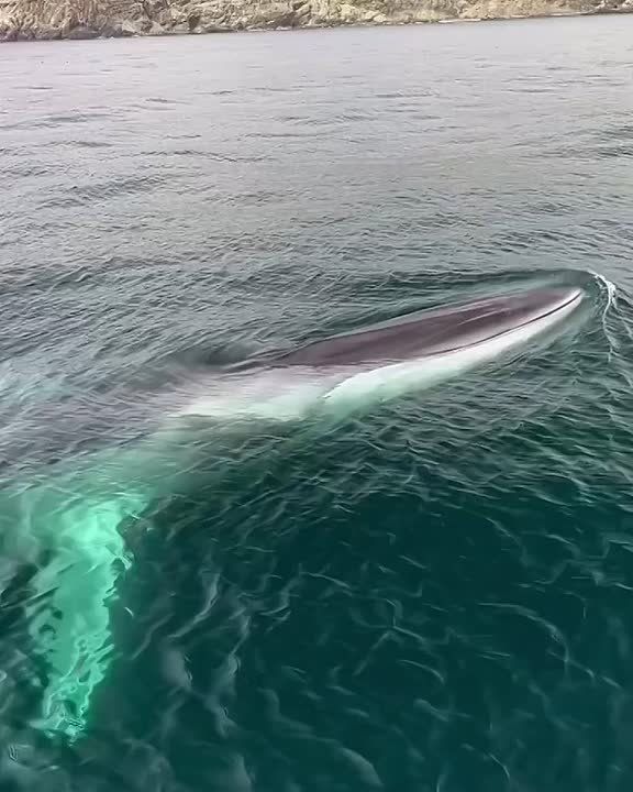 Спокойной ночи, Мариуполь!