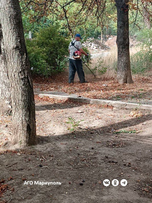 Мариупольские коммунальщики провели уборку дворов в Ильичевском и Орджоникидзевском районах Мариупольские коммунальщики провели уборку дворов в Ильичевском и Орджоникидзевском районах