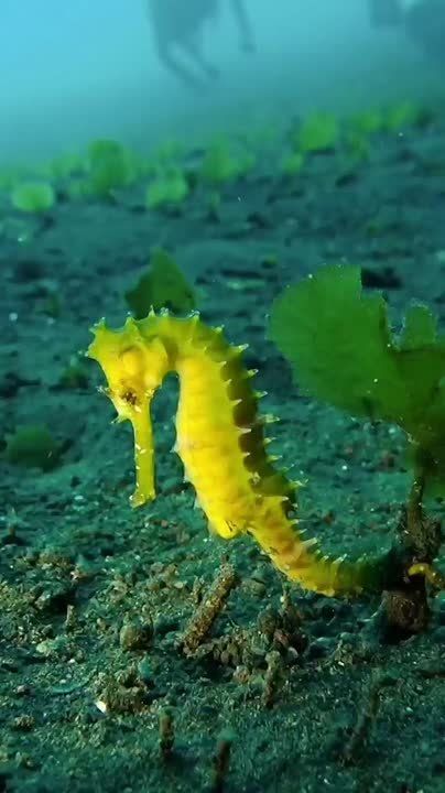 Спокойной ночи, Мариуполь!