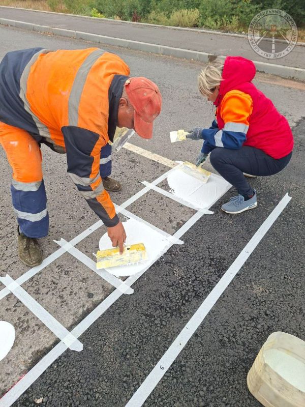 #свод_за_сутки #летнее_содержание #свод_за_сутки #летнее_содержание