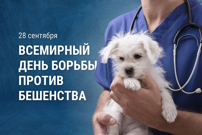 Мариупольские энергетики обследовали более 4 километров сетей наружного освещения Мариупольские энергетики обследовали более 4 километров сетей наружного освещения