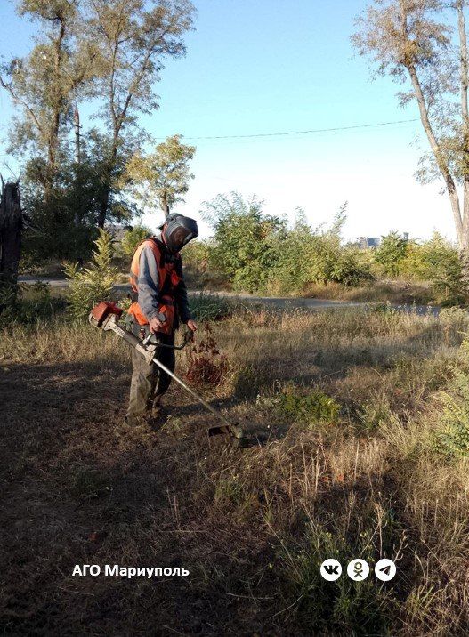 В Мариуполе коммунальщики продолжают покос сорных и карантинных трав