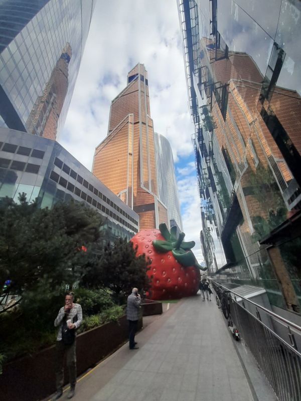 ������-���� � ����� �����������