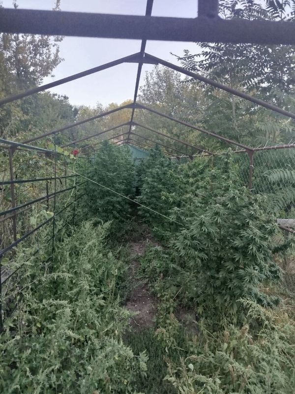 ����������� ��������� ���� ������� ���������, ������������ �������� �� ������ �������