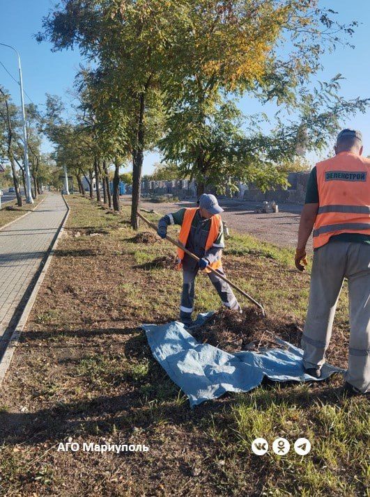 В Мариуполе коммунальщики освобождают зеленые зоны от скошенной травы
