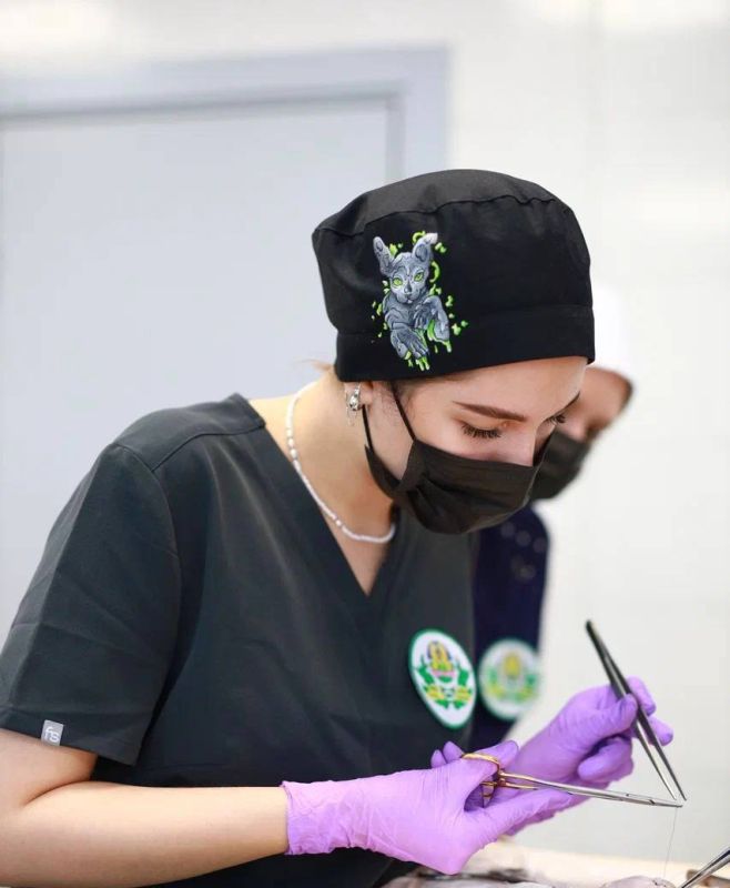 ��������� �������: #�������������. ������� �������� � ������� ����-������ ��������� ���������� � ����������������� �������� ��. �.�. ������ ����� �� ���������, �� � 2017 ���� ��������� � �������