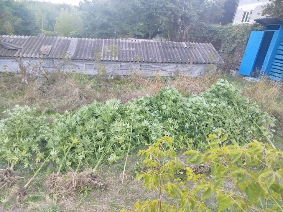 ����������� ��������� ���� ������� ���������, ������������ �������� �� ������ �������