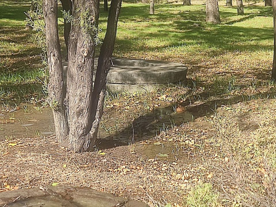 ��-�� ������ ���� ������ ���������� ����� �����������