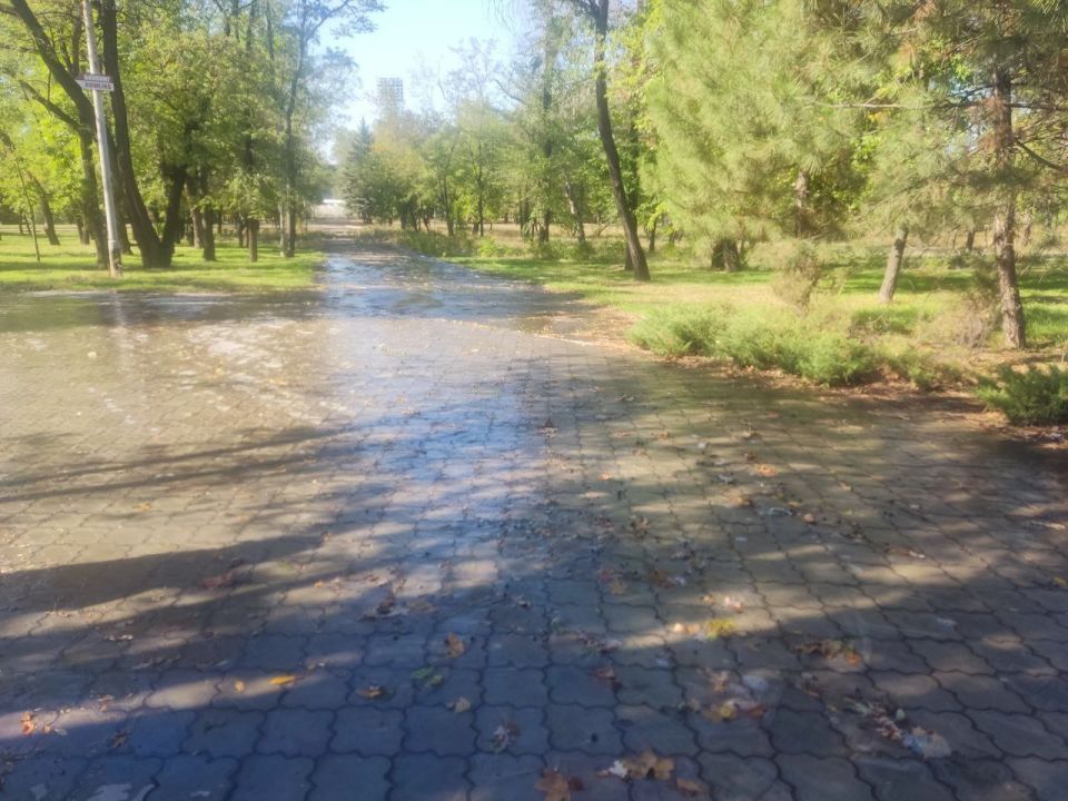 ��-�� ������ ���� ������ ���������� ����� �����������