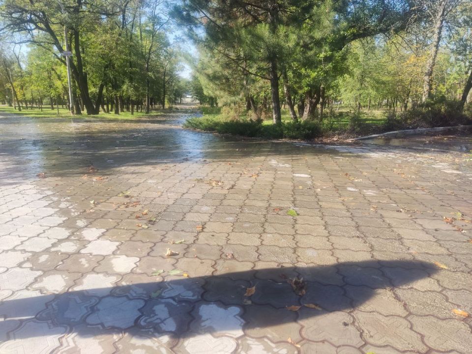 ��-�� ������ ���� ������ ���������� ����� �����������