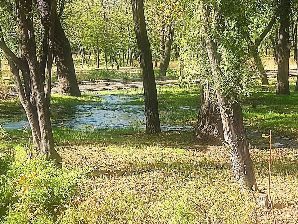 Из-за порыва сети залило территорию парка Петровского