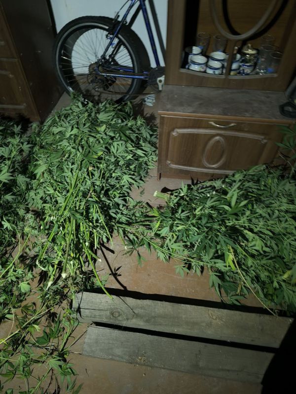 ���������� ������� ������� ����������-���������������� ����������� � ���������