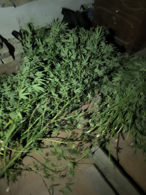 ���������� ������� ������� ����������-���������������� ����������� � ���������