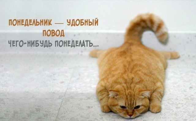 Минутка юмора. Мы в Telegram