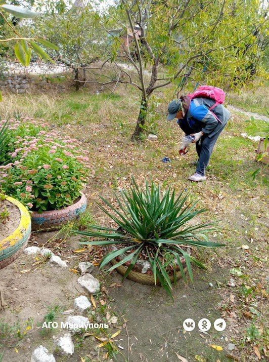 В трех районах Мариуполя коммунальщики провели комплексные работы по благоустройству придомовых территорий