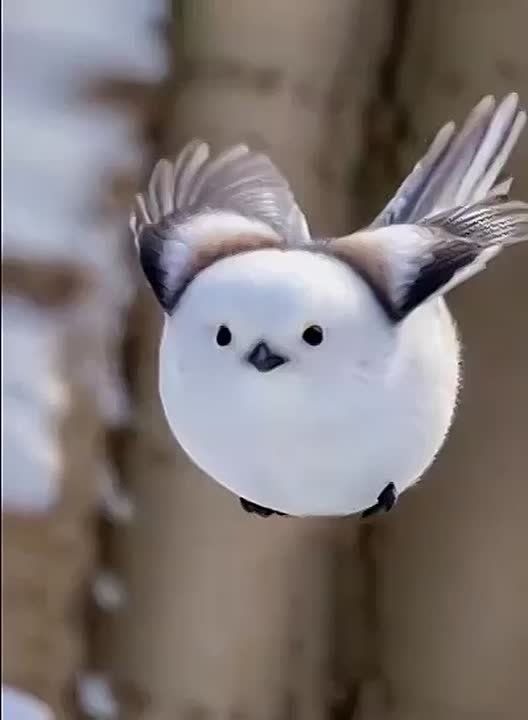 Спокойной ночи, Мариуполь!