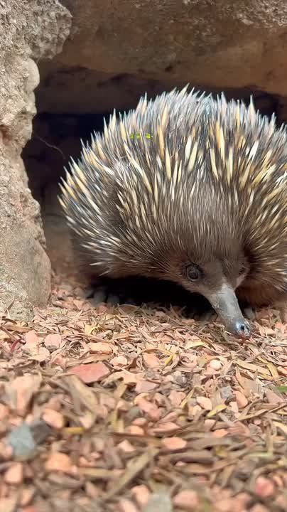 С добрым утром, Мариуполь!
