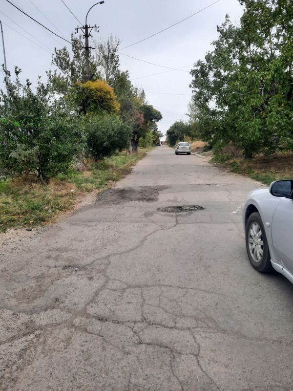 ПИШУТ ЧИТАТЕЛИ. В наш чат-бот Людмила Семенюк написала о проблемах с благоустройством в Приморском районе: Участок на пер.Песчаном, где 33-я школа - в запущенном состоянии