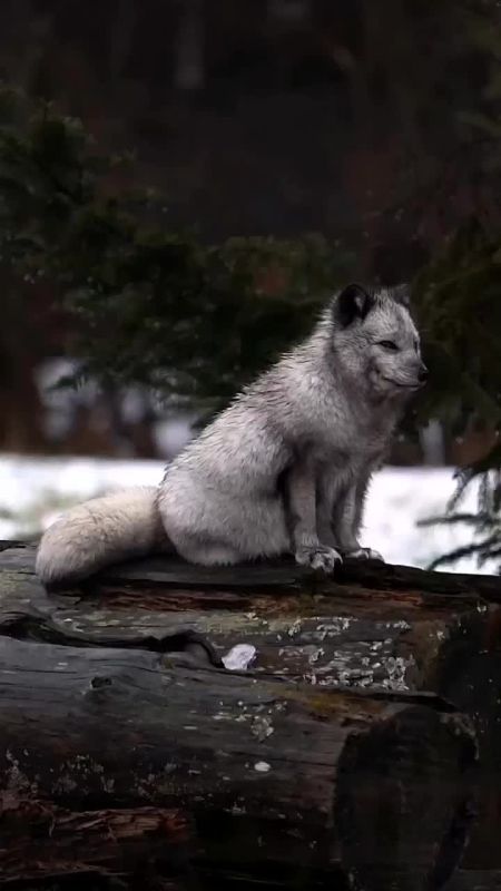 Спокойной ночи, Мариуполь!