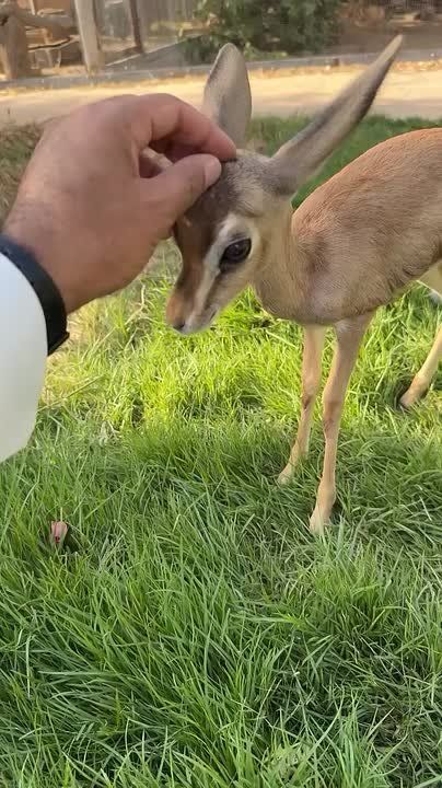 С добрым утром, Мариуполь!
