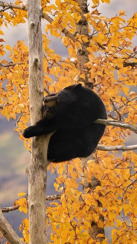 Спокойной ночи, Мариуполь!