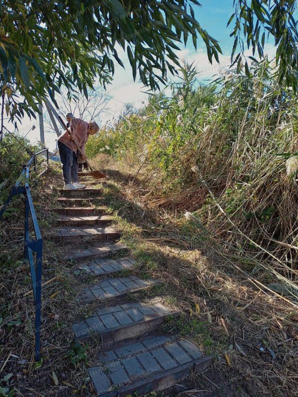 В Жовтневом внутригородском районе города Мариуполя проведён субботник на территории бывшего развлекательного центра «Аляска» В Жовтневом внутригородском районе города Мариуполя проведён субботник на территории бывшего развлекательного центра «Аляска»