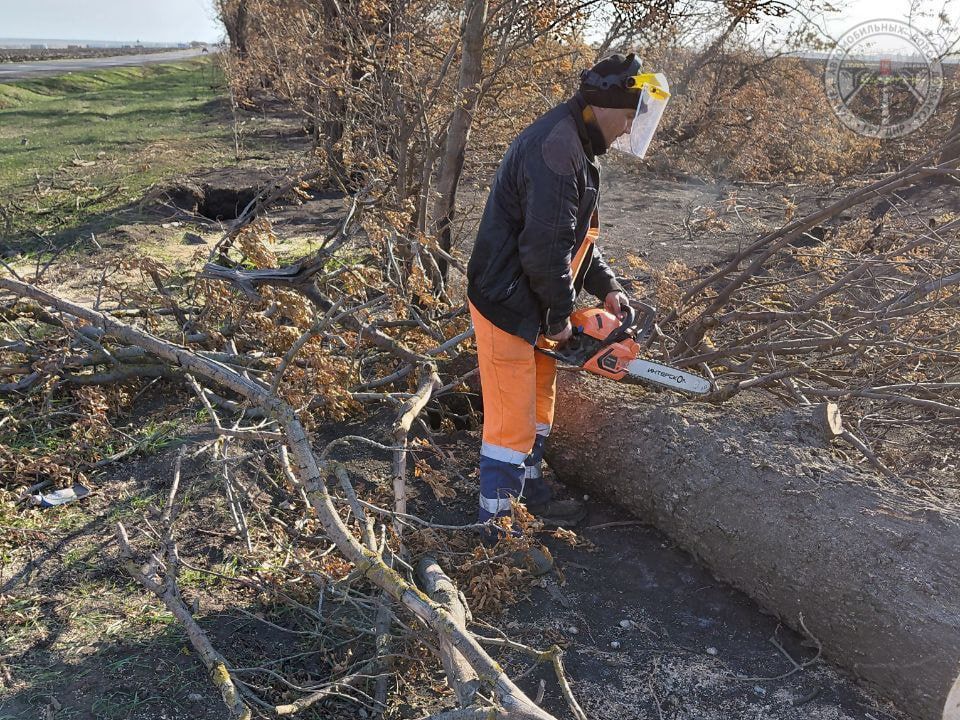 #свод_за_сутки #летнее_содержание #свод_за_сутки #летнее_содержание