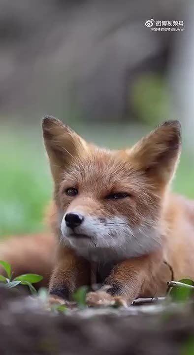 Спокойной ночи, Мариуполь!