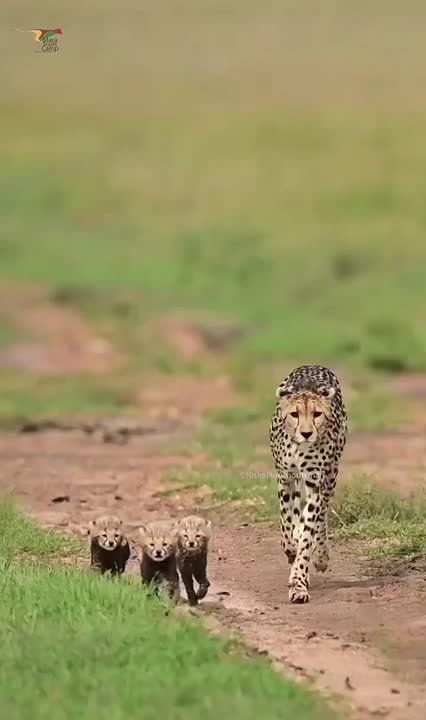 Доброе утро, Мариуполь!. Пусть сегодняшний день будет наполнен маленькими чудесами и большими возможностями! National Geographic Чтобы всегда быть в курсе актуальных новостей, подписывайтесь на социальные сети нашего...
