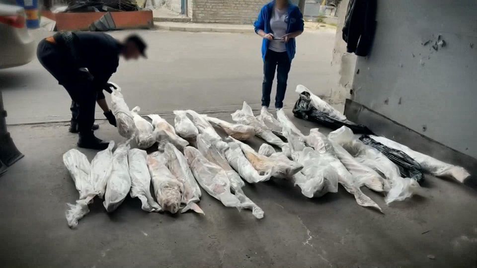 В Мариуполе спецназ задержал предпринимателей, которым, похоже, было мало легального бизнеса