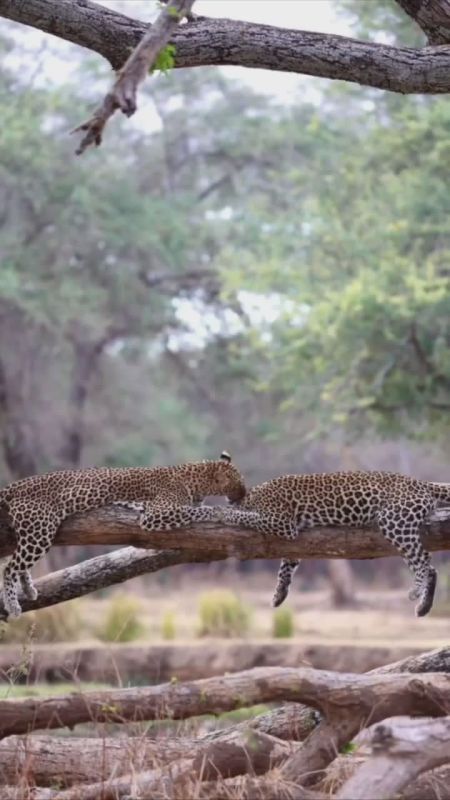 Спокойной ночи, Мариуполь!