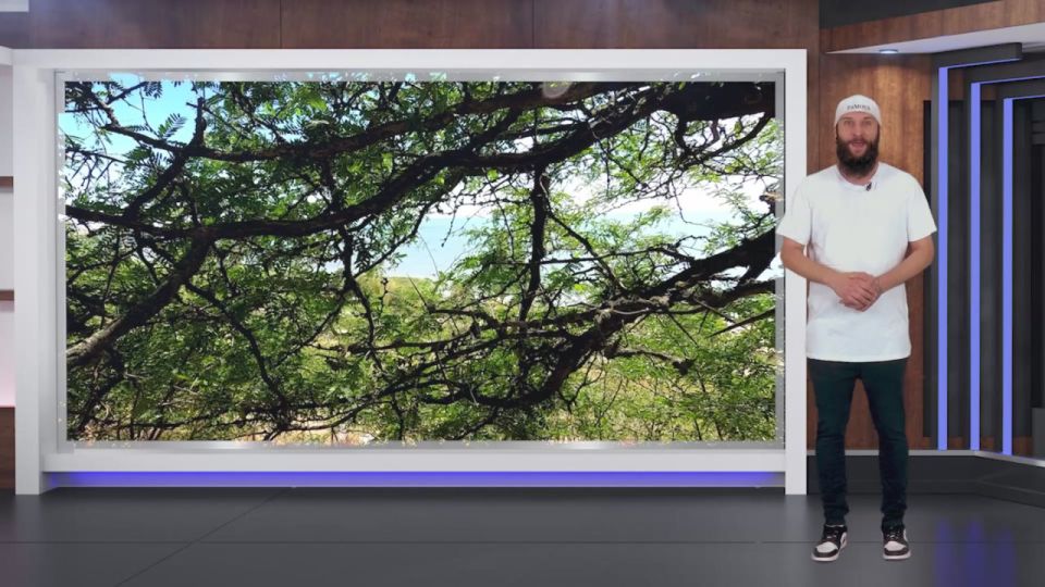 Прогноз погоды на 09.10.2025