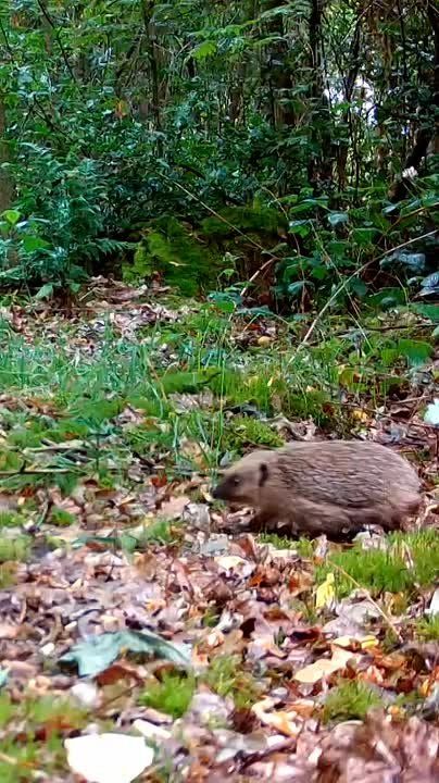 С добрым утром, Мариуполь!