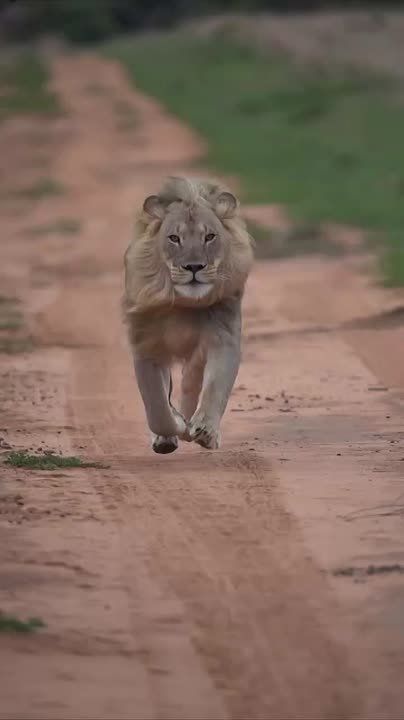 С добрым утром, Мариуполь!