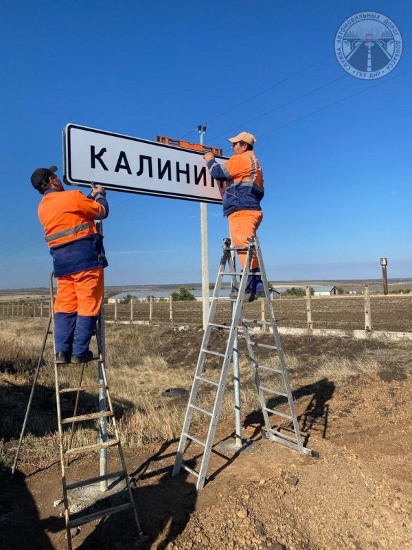 #свод_за_сутки #летнее_содержание #свод_за_сутки #летнее_содержание