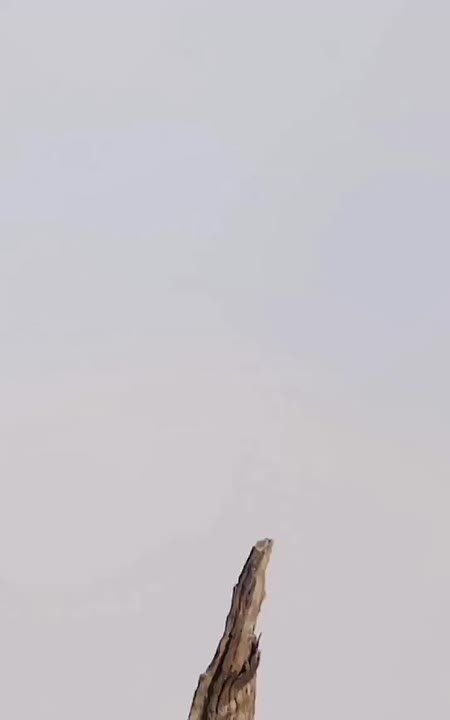 Спокойной ночи, Мариуполь!