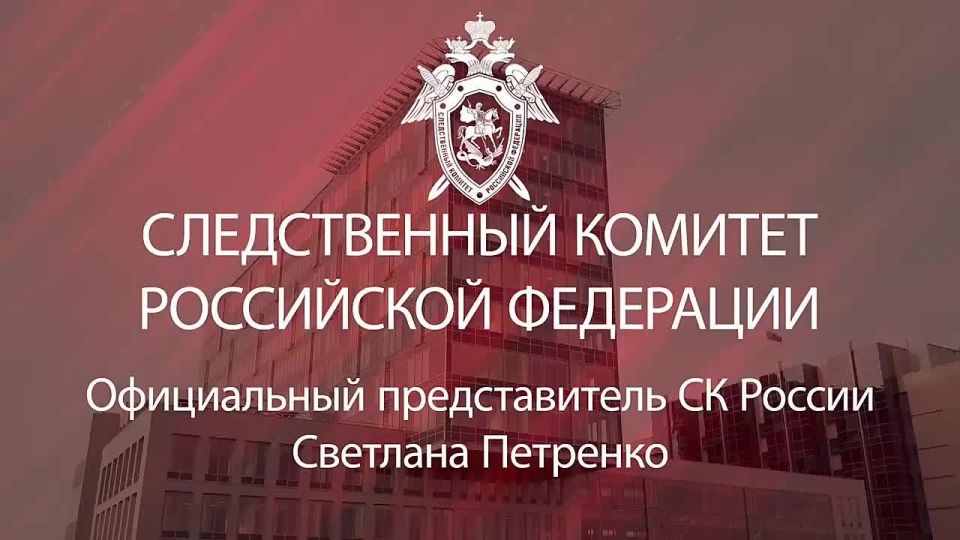 Официальный представитель СК России Светлана Петренко: