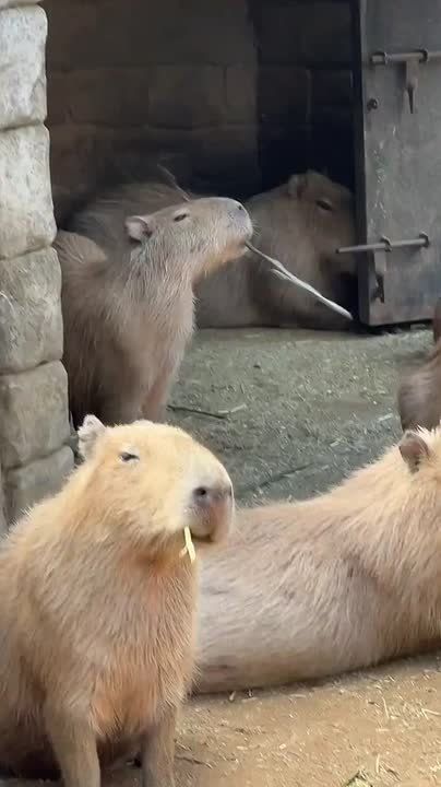 Доброе утро, Мариуполь!. Пусть оно будет наполнено только приятными и счастливыми эмоциями, а новый день принесет много замечательных событий и хорошего настроения National Geographic Чтобы всегда быть в курсе актуальных...