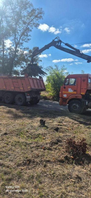 Тульские специалисты помогают восстанавливать и благоустраивать Мариуполь Тульские специалисты помогают восстанавливать и благоустраивать Мариуполь