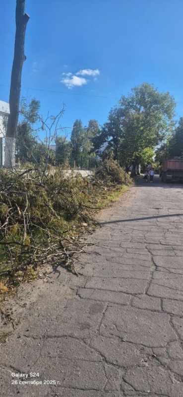 Тульские специалисты помогают восстанавливать и благоустраивать Мариуполь Тульские специалисты помогают восстанавливать и благоустраивать Мариуполь
