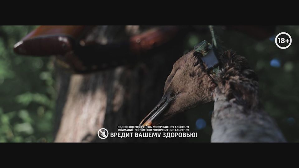 Мы в Telegram. Мы в МАХ